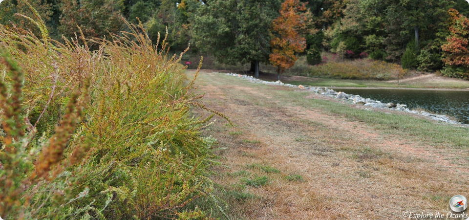 Hiking along the lake